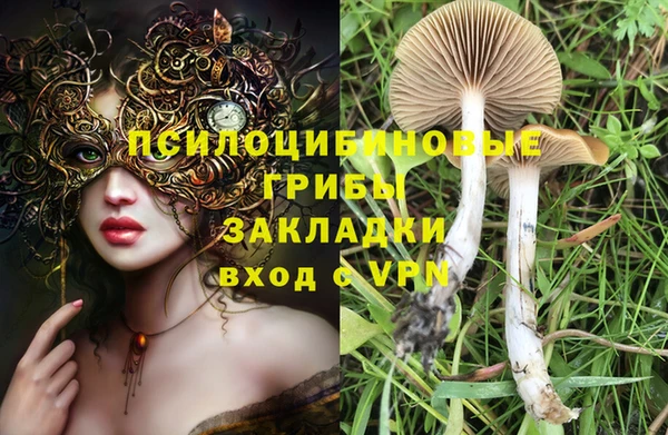 гашиш Дмитров