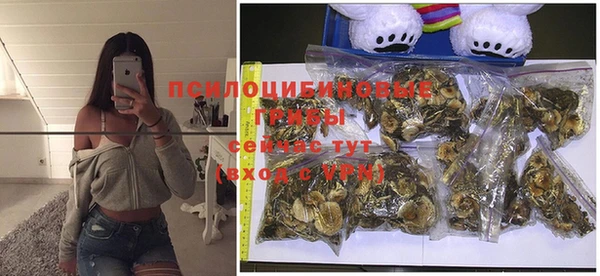 mdma Майский